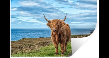 Muurstickers - Sticker Folie - Schotse Hooglander - Water - Horens - 30x20 cm - Plakfolie - Muurstickers Kinderkamer - Zelfklevend Behang - Zelfklevend behangpapier - Stickerfolie
