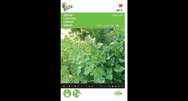 2 stuks - Buzzy - Kervel Fijne Krul