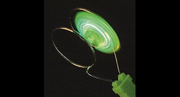 Moses PhänoMINT lichtgevende magnetische led tol - 4 assorti