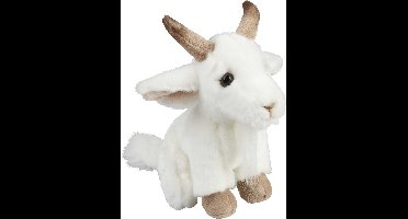 Ravensden Pluche geitje - knuffel geitje - wit - 18 cm - boerderij dieren knuffel