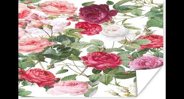 Poster Bloemen - Wit - Roze - Paars - 30x20 cm