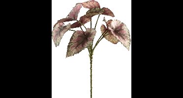 PTMD Leaves Plant Begonia Kunsttak - 17 x 22 x 33 cm - Paars/groen