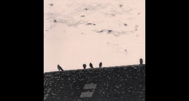 Stuart A. Staples - Arrhythmia (LP)