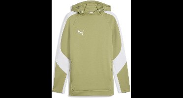Puma Hoodie TeamEVOSTRIPE Hoody 659954 Calming Green-Puma Silver-Puma White-M