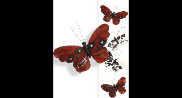 CHAKS - Doodskopvlinder 13 x 10 cm