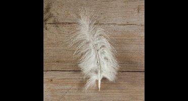 Marabou decoratieveren creme 8-10 cm – doosje 8 gram