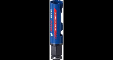 Bosch Expert gatzaag voor bouwmateriaal 20 x 60 mm - 2608900452