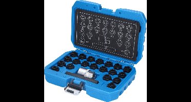 BRILLIANT TOOLS Velgbeveiliging set voor VW 22 stuks - BT691390