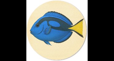 Muismat rond 40x40 cm - Mousepad Blauw - Dory - Vis - Staartvin - Ronde muismatten