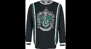 Harry Potter Slytherin Heren Gebreide trui - meerkleurig - M