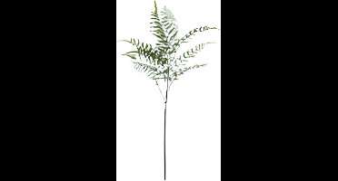 Buitengewoon de boet - Varenblad lichtgroen 91 cm