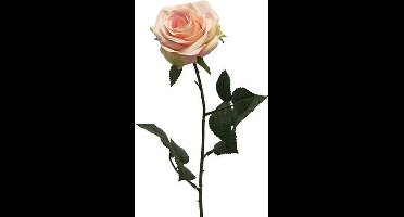 Rosa Dijon cream/pink 64 cm kunstbloem Nova Nature