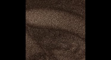 Vloerkleed Xilento Silky Soft Koper | 200 x 300 cm