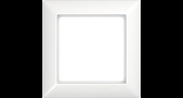 Jung AS581WW 1-voudig Frame Alpine-wit