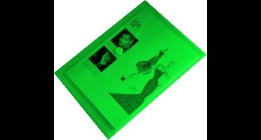 10x EXXO-HFP - #90136 - A4 Documentenmap - Landschap model - Klitsluiting - Groen