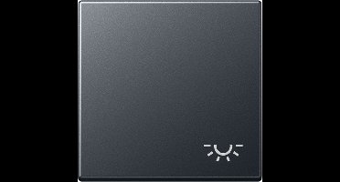 JUNG A 590 BF L ANM JUN WIP MET SYMBOOL LICHT