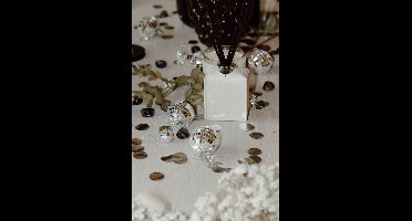 Leder Geurstokjes - Vanilla & Coconut