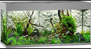 Juwel Aquarium Rio 180 Led 101x41x50 cm - Aquaria - Grijs Ca. 180 L