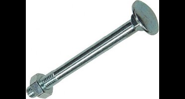 Mack HOUTBOUT + MOER VERZINKT 10 ST M10 X 100MM