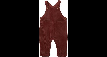 Vertbaudet Velours tuinbroek baby jongen