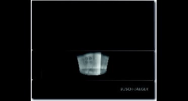 ABB Busch-Jaeger 6855 AGM-201 BUS WACHTER 110 MASTERLINE (6855 AGM-201)