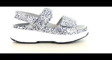 Xsensible Stretchwalker 30700.5 290.96.062