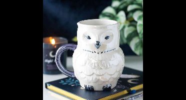 Something Different - Owl Shaped Iridescent Mok/beker - Multicolours