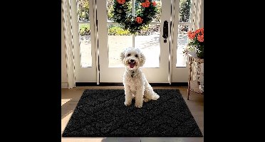 Ibenzoa® Veelzijdige Binnen- en Buitendeurmat met Antislipfunctie, Wasbaar en Waterdicht, Ideaal voor Entree