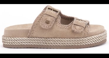 Bennister Women Suede