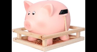 Out of the Blue Roze Spaarvarken met Hamer – Houten Kist – Decoratief en Functioneel – Perfect Cadeau voor Kinderen en Volwassenen