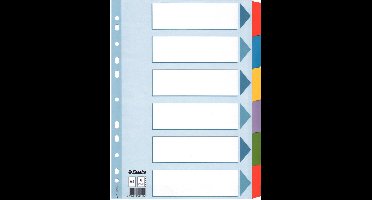 Esselte kartonnen tabbladen, blanco, A4, 6-delig, meerkleurig
