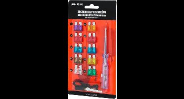Luxe steekzekering set - 12 Delig