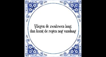 Tegeltje met Spreuk (Tegeltjeswijsheid): Vliegen de zwaluwen laag, dan komt de regen nog vandaag + Kado verpakking & Plakhanger