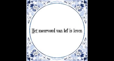 Tegeltje met Spreuk (Tegeltjeswijsheid): Het meervoud van lef is leven + Kado verpakking & Plakhanger
