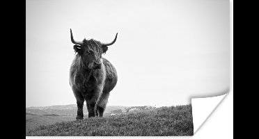 Poster Dieren - Schotse hooglander - Zwart wit - Natuur - Landelijk - 30x20 cm