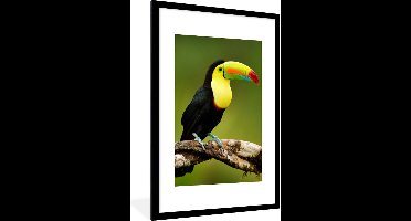 PosterMonkey - Poster - Fotolijst - Vogel - Toekan - Regenboog - Groen - Tak - 60x90 cm - Poster vogels - Frame poster - Poster lijst - Poster dieren