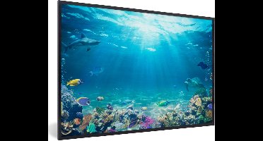 PosterMonkey - Poster - Poster in lijst - Fotolijst - Vissen - Onderwaterwereld - Water - Tropische vissen - 120x80 cm - Kader - Kamer decoratie - Poster met frame - Wanddecoratie natuur - Poster natuur