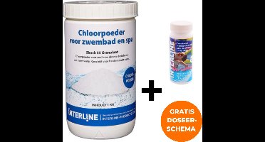 Interline Chloorshock 1 kg - Inclusief 25 chloor & pH teststrips - Chloorgranulaat voor zwembad - Chloorshock - Inclusief doseerschema