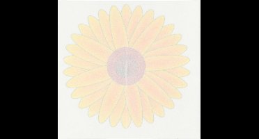 Pro Garden Fruitvliegjes val fruit hangende bloemen - 4x stickers - ongedierte bestrijding - Insecten/vliegen vallen