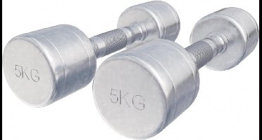 Gorilla Sports Dumbellset 10 kg - 2x5 kg - Halterset - Vaste dumbbells - Chroom