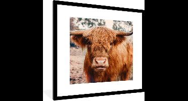 PosterMonkey - Fotolijst - Schotse hooglander - Dieren - Koe - Poster - Poster met kader - Foto in lijst - 40x40 cm - Poster dieren - Poster Schotse hooglander - Wanddecoratie - Posterlijst