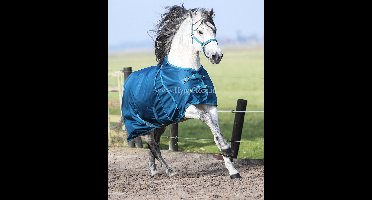 MASTER Regendeken metallic petrol 0g - 95 / 145