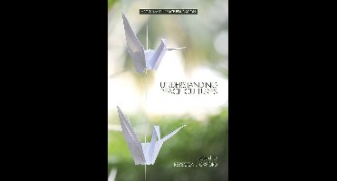 Understanding Peace Cultures