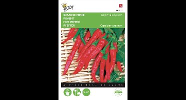 Buzzy® Spaanse Peper Cayenne long slim