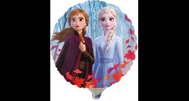 RIETHMULLER - Kleine ronde Frozen 2 aluminium ballon