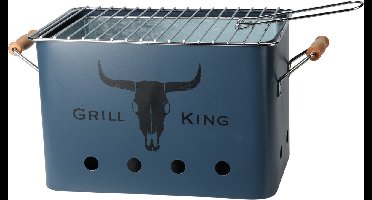 ProGarden Barbecuegrill rechthoekig mat donkerblauw