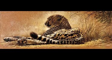 Kunstdruk Renato Casaro - Little rest 99x34cm