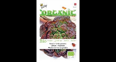 Buzzy® Organic Kropsla Wonder van 4 jaargetijden (BIO)