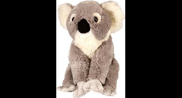 Wild Republic Knuffel Koala - 30 cm - grijs - pluche - knuffeldier