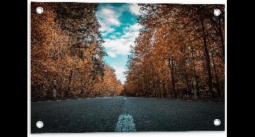 Tuinposter – Weg langs Herfstige Bomen - 60x40cm Foto op Tuinposter  (wanddecoratie voor buiten en binnen)